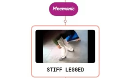 Stiff Legged Gait Mnemonic