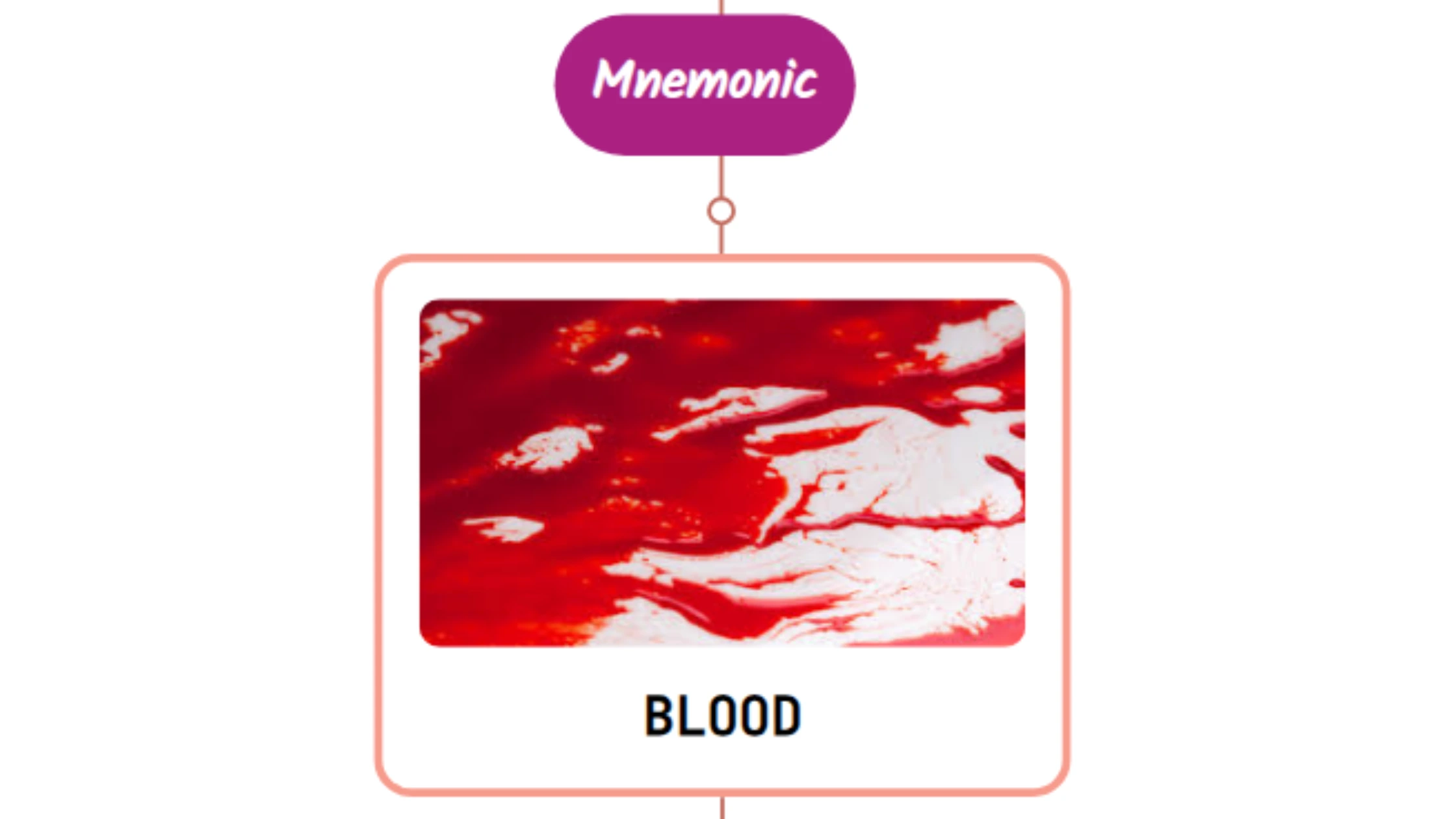 You are currently viewing Stroke Effects On Eye – Mnemonic