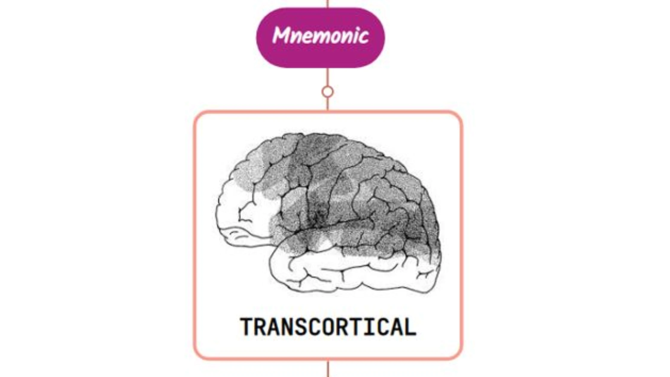You are currently viewing Transcortical Aphasias: Fluent and Nonfluent Mnemonic