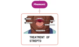 Treatment Of Streptococcal Pharyngitis – Mnemonic