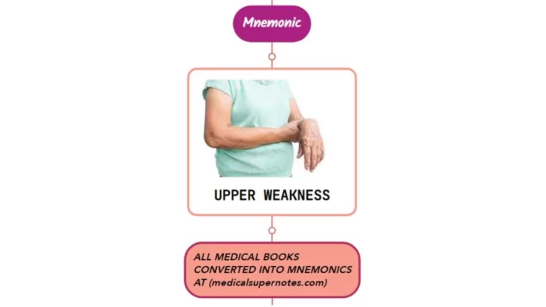 Read more about the article Upper Motor Neuron Weakness Mnemonic