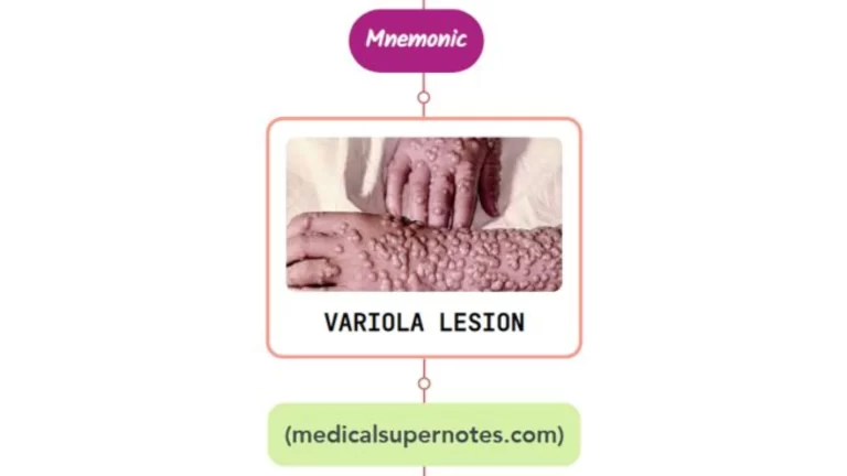 Read more about the article Vesiculobullous Or Pustular Eruptions Rash Mnemonic