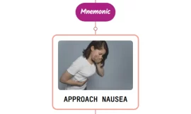Approach To A Nausea & Vomiting Patient Mnemonic