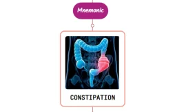 Constipation & Its Causes – Mnemonic