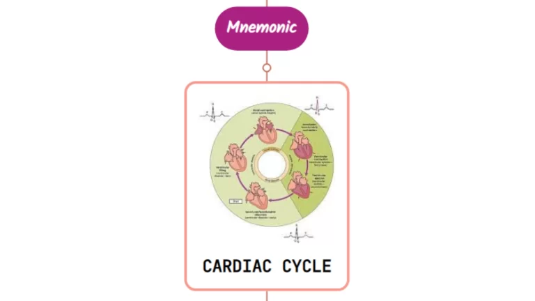 Read more about the article Continuous Heart Murmurs Mnemonic