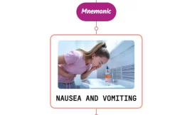Differential Diagnosis Of Nausea & Vomiting Mnemonic