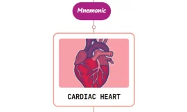 Duration and Character Of Heart Murmur – Mnemonic