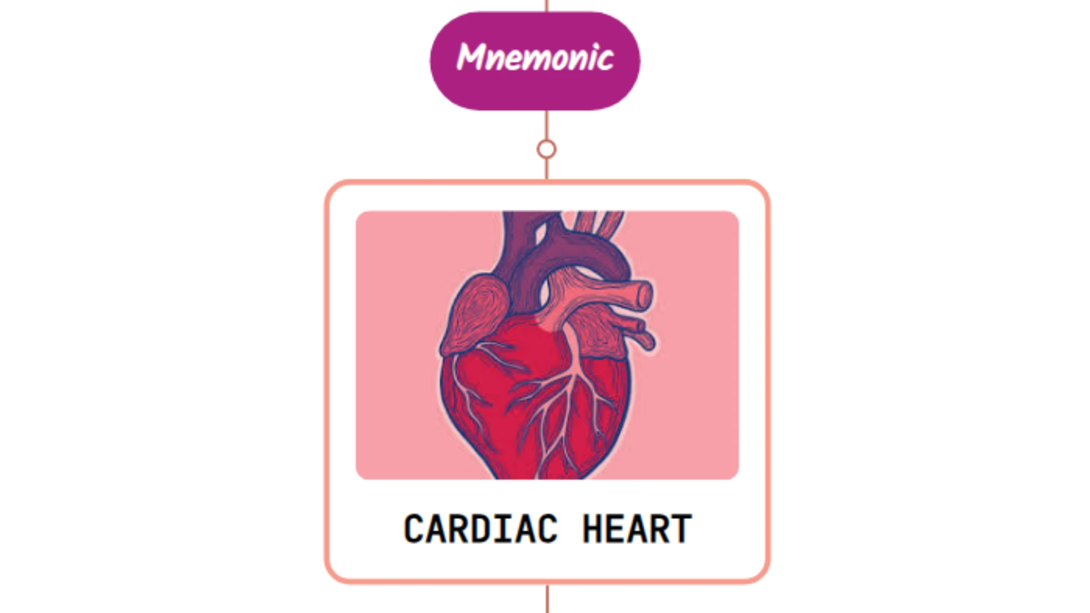 You are currently viewing Duration and Character Of Heart Murmur – Mnemonic