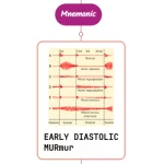 Read more about the article Early Diastolic Murmurs – Mnemonic