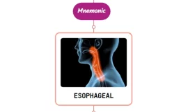 Esophageal Dysphagia Mnemonic