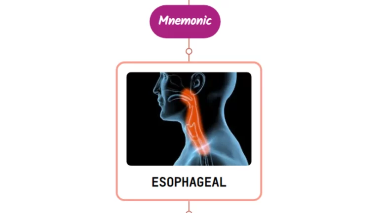 Read more about the article Esophageal Dysphagia Mnemonic