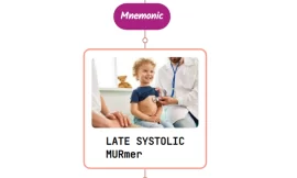 Late Systolic Heart Murmur – Mnemonic