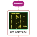 Read more about the article Mid-Diastolic Murmurs – Mnemonic