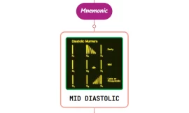 Mid-Diastolic Murmurs – Mnemonic