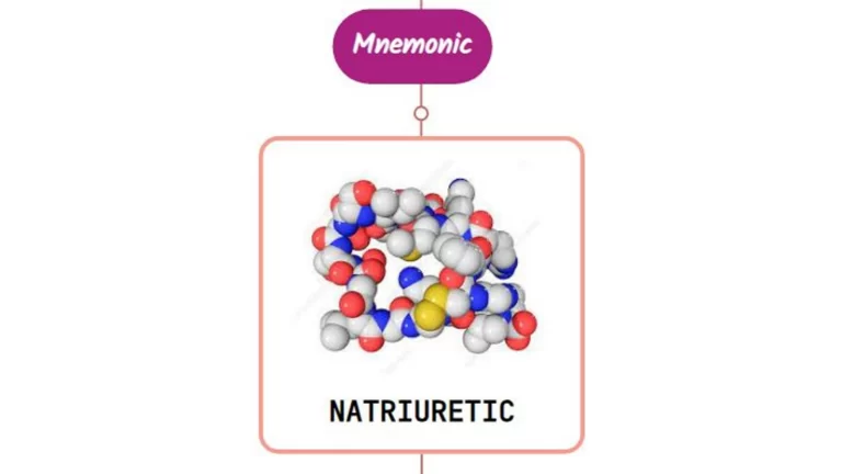Read more about the article Natriuretic Peptides – Mnemonic