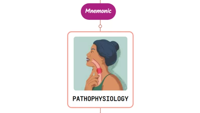 Read more about the article Pathophysiology Of Dysphagia Mnemonic