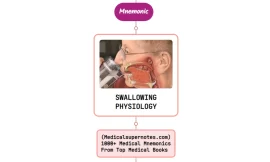 Physiology Of Swallowing Mnemonic