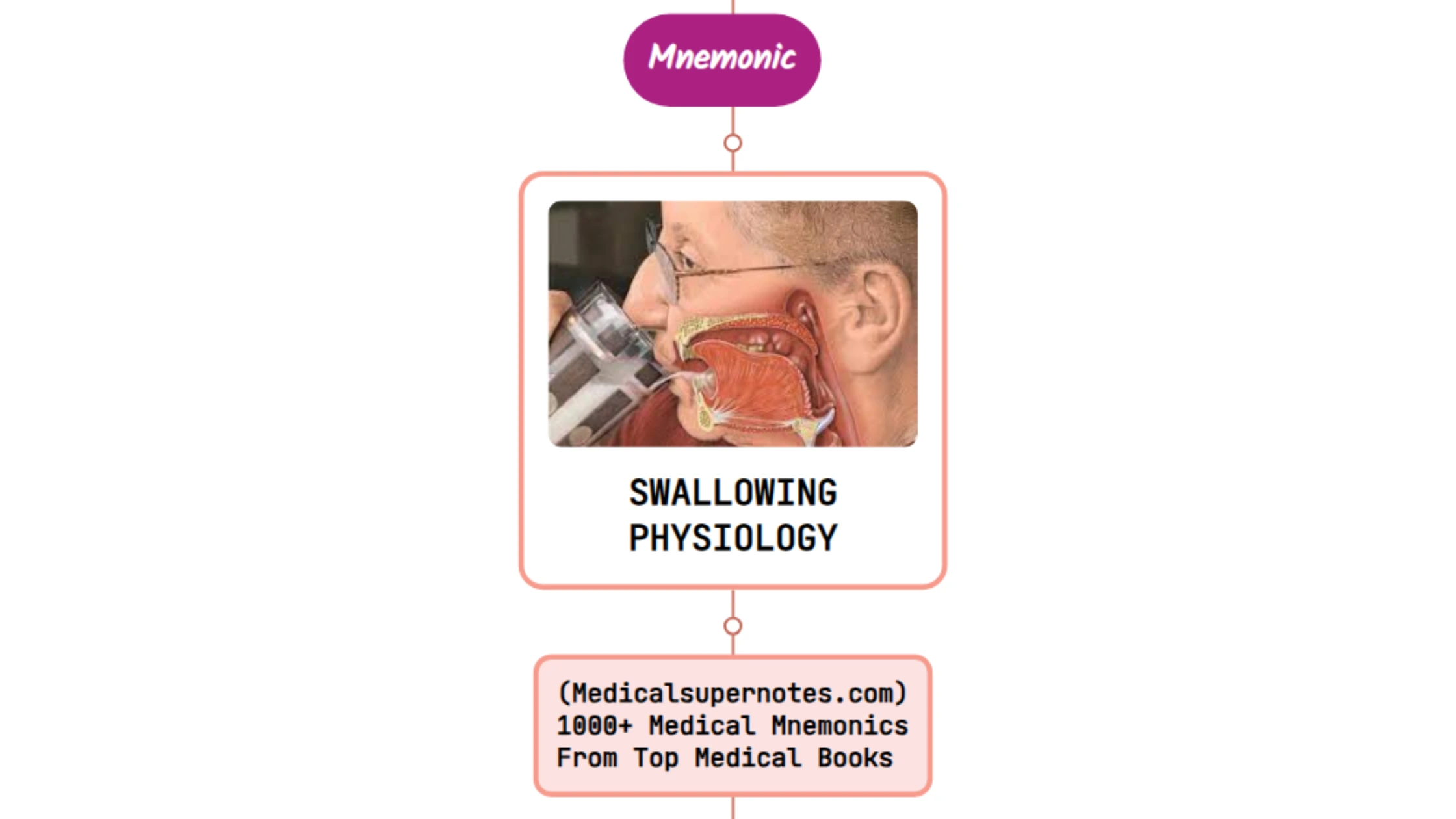 You are currently viewing Physiology Of Swallowing Mnemonic