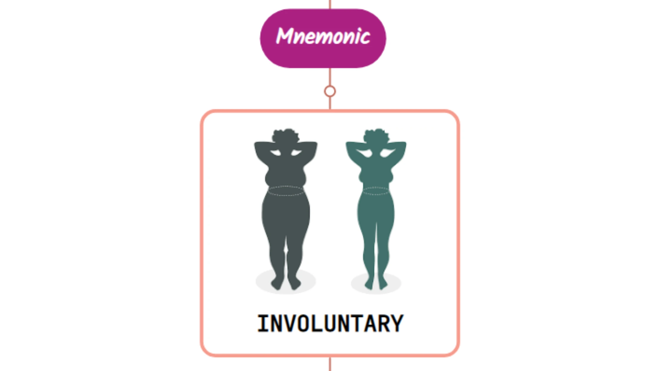 You are currently viewing Unintentional Weight Loss Physiology – Mnemonic
