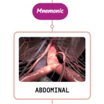 Read more about the article Abdominal Aorta Mnemonic ⚡NEVER FORGET⚡