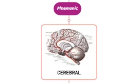 Anterior Cerebral Artery Mnemonic ⚡NEVER FORGET⚡