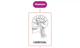 Anterior Choroidal Artery Mnemonic ⚡NEVER FORGET⚡