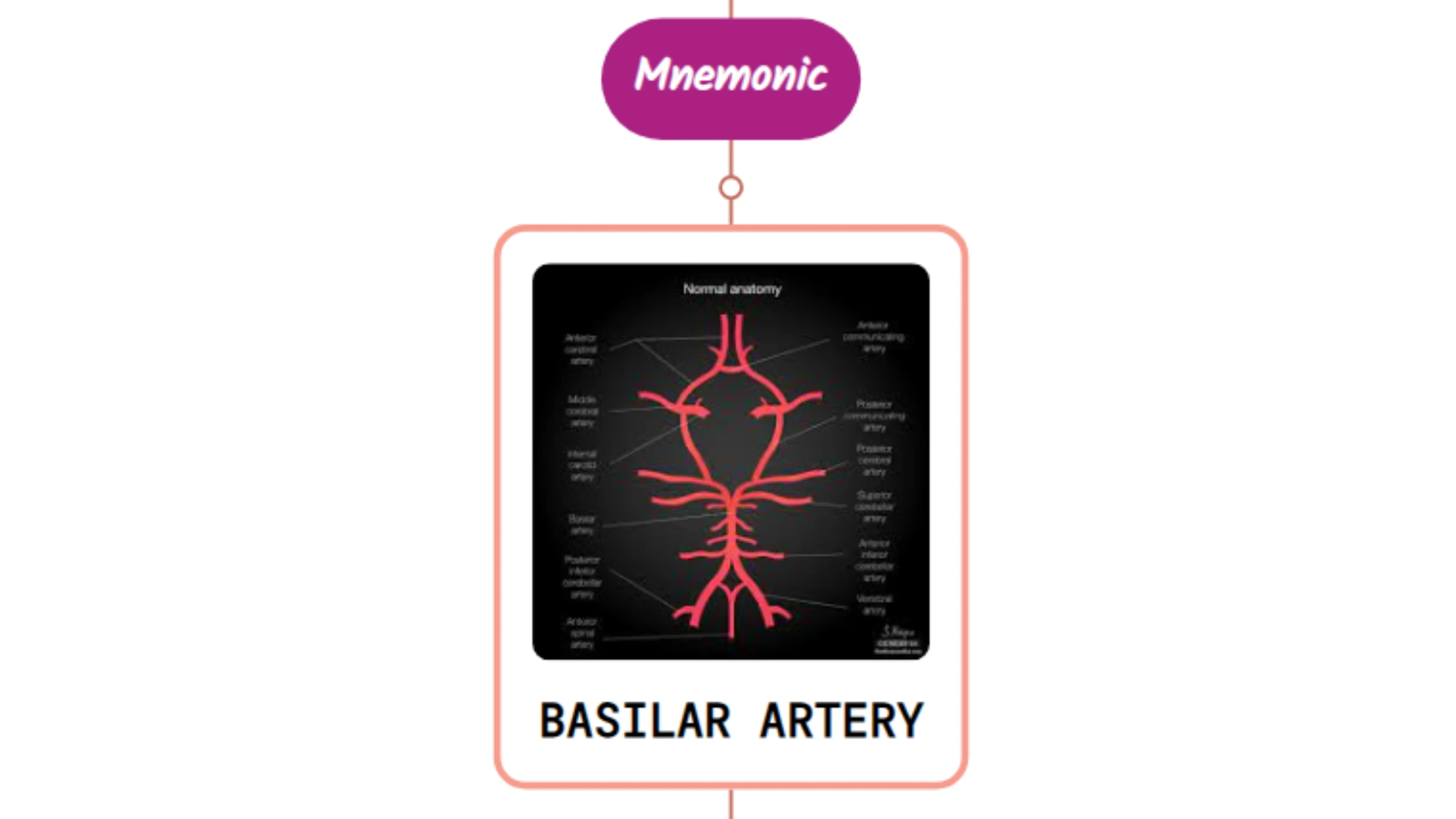 You are currently viewing Basilar Artery – Mnemonic