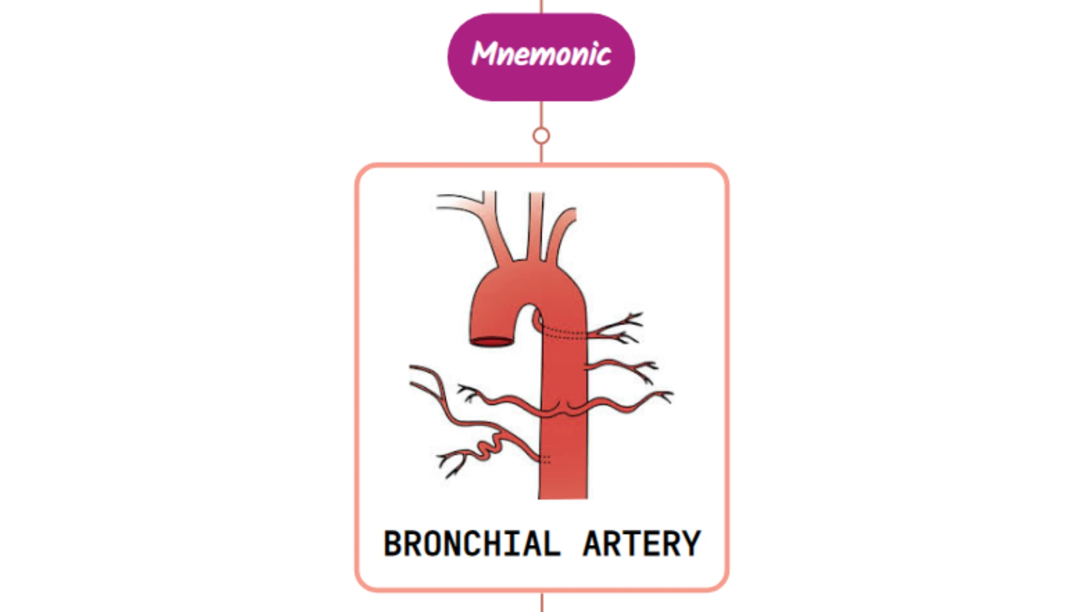 You are currently viewing Bronchial Artery – Mnemonic [ NEVER FORGET AGAIN ]