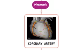 Coronary Artery – Mnemonic [ NEVER FORGET AGAIN ]