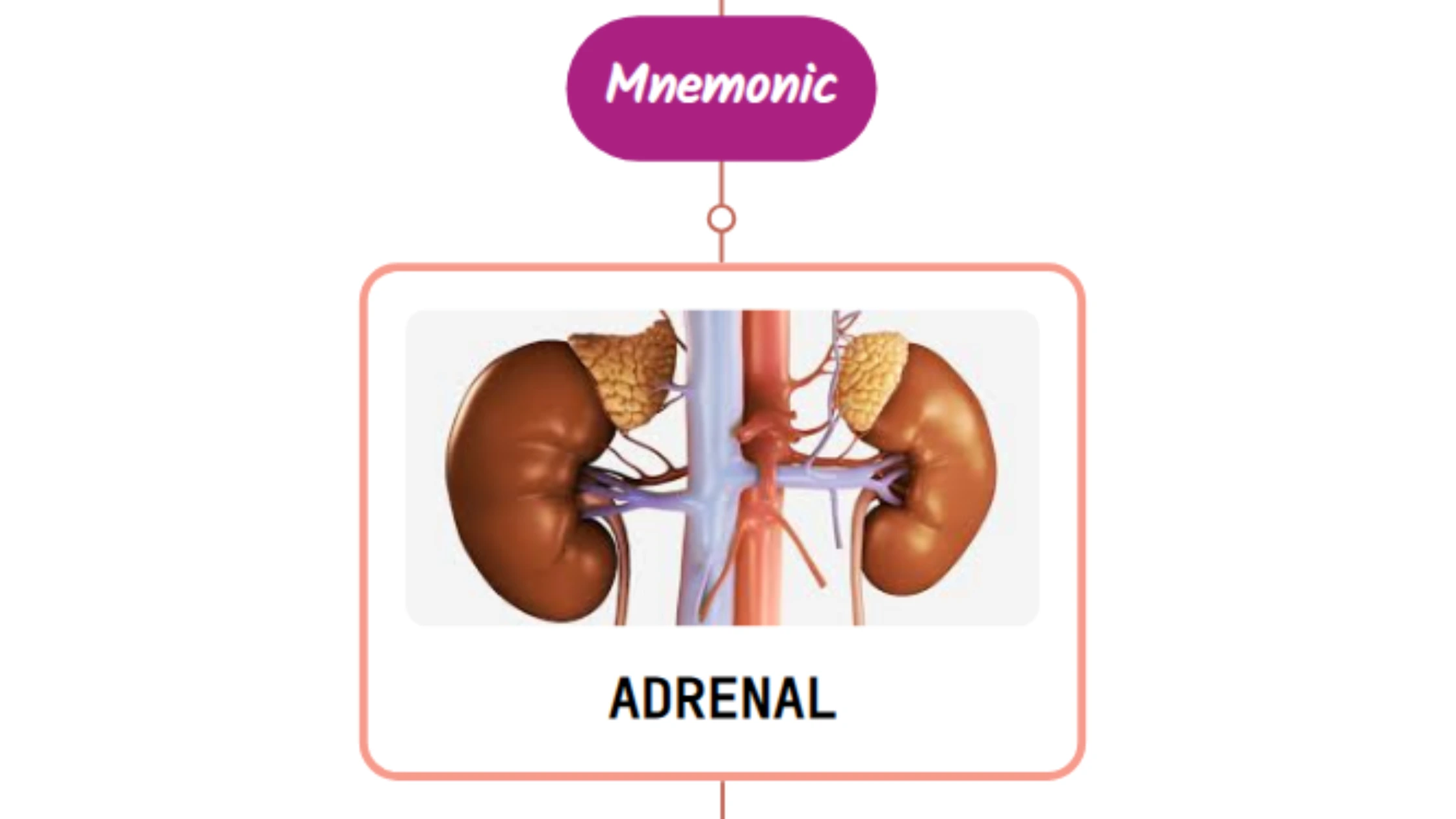You are currently viewing Drugs Causing Adrenal Insufficiency ⚡Mnemonic⚡