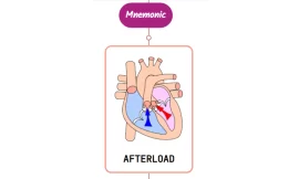 Drugs Causing Afterload Reduction⚡Mnemonic⚡