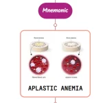 Read more about the article Drugs Causing Aplastic Anemia⚡Mnemonic⚡