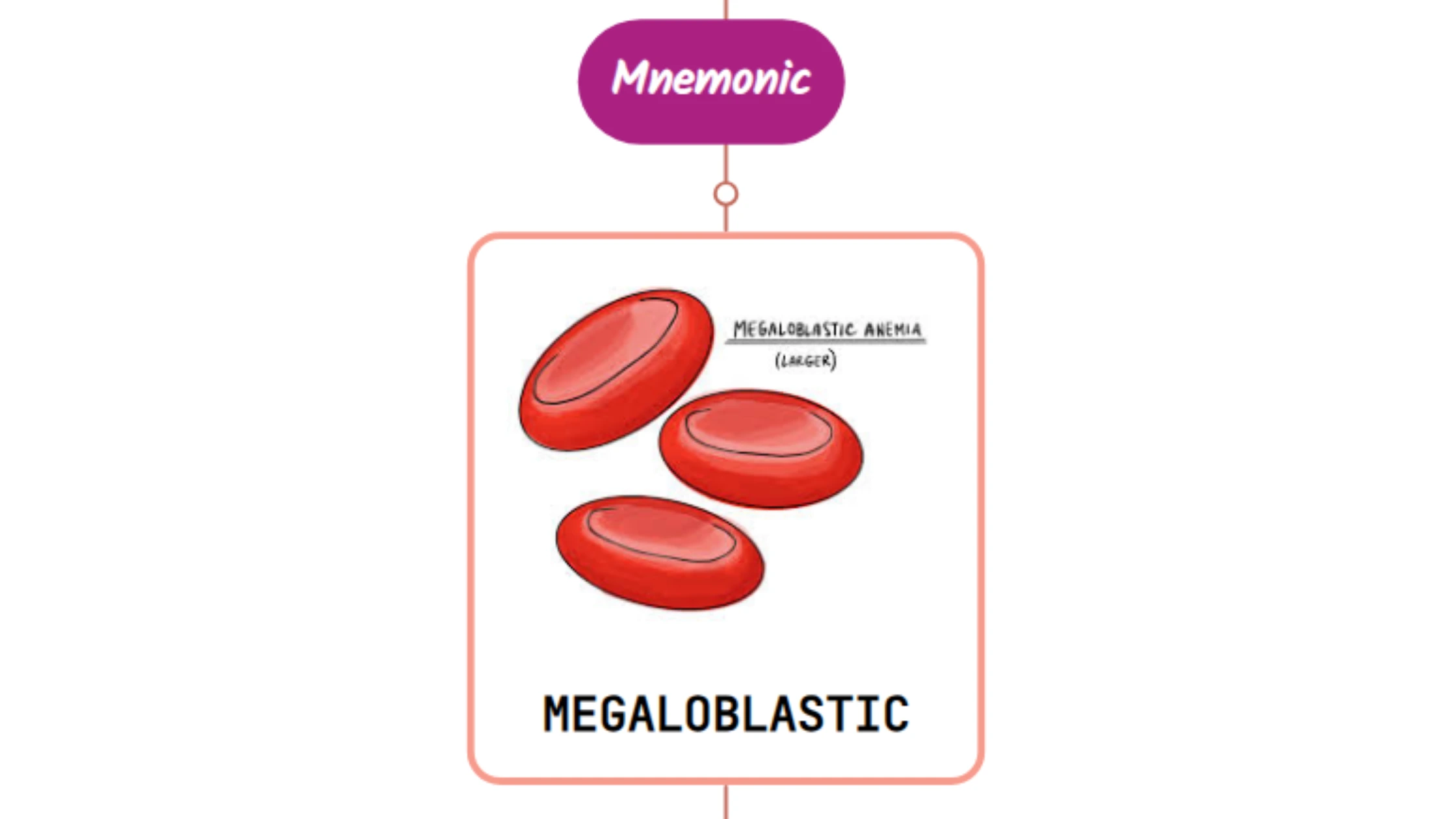 You are currently viewing Drugs Causing Megaloblastic Anemia⚡Mnemonic⚡
