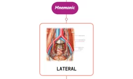 Lateral Sacral Artery – Mnemonic [ NEVER FORGET AGAIN ]