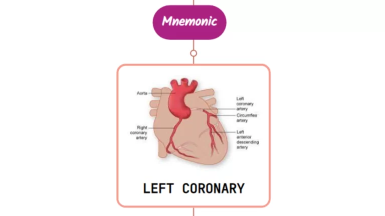 Read more about the article Left Coronary Artery – Mnemonic