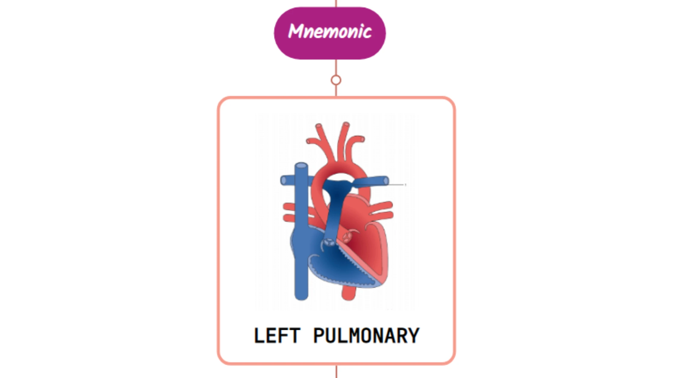 You are currently viewing Left Pulmonary Artery – Mnemonic [ NEVER FORGET AGAIN ]
