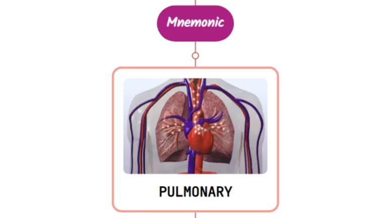 Read more about the article Pulmonary Artery – Mnemonic