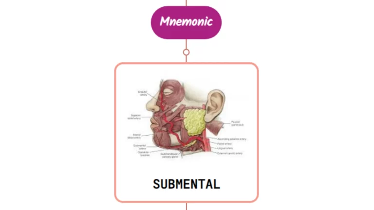 Read more about the article Submental Artery Mnemonic [ NEVER FORGET AGAIN ]