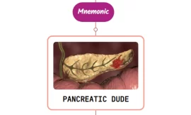 Superior Pancreaticoduodenal Artery – Mnemonic [ NEVER FORGET AGAIN ]